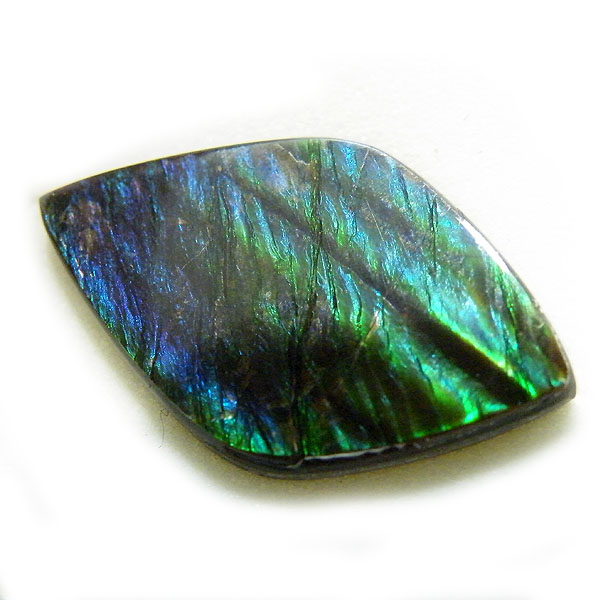 アンモライト(Ammolite) 天然石ルース限定品