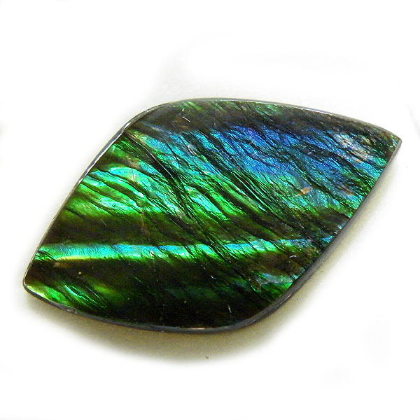 アンモライト(Ammolite) 天然石ルース限定品