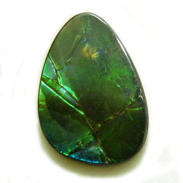 ACg(Ammolite) VR΃[Xi