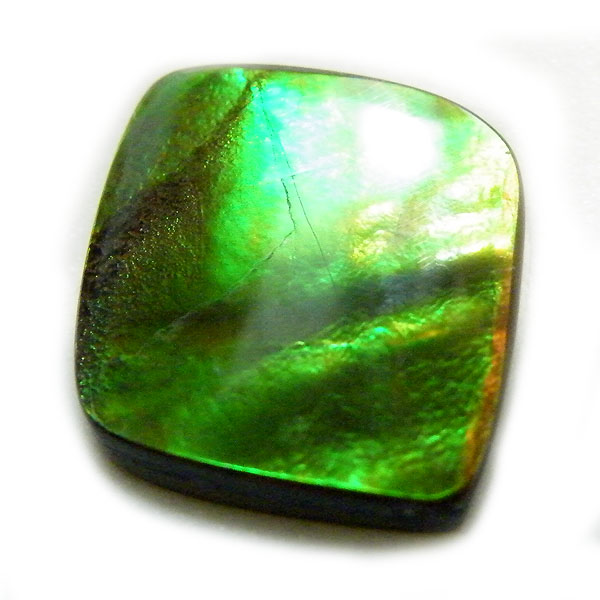 アンモライト(Ammolite) 天然石ルース限定品