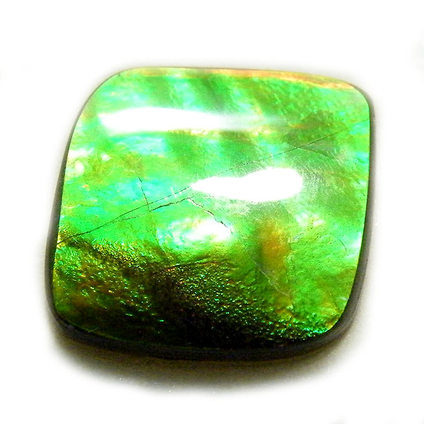 アンモライト(Ammolite) 天然石ルース限定品
