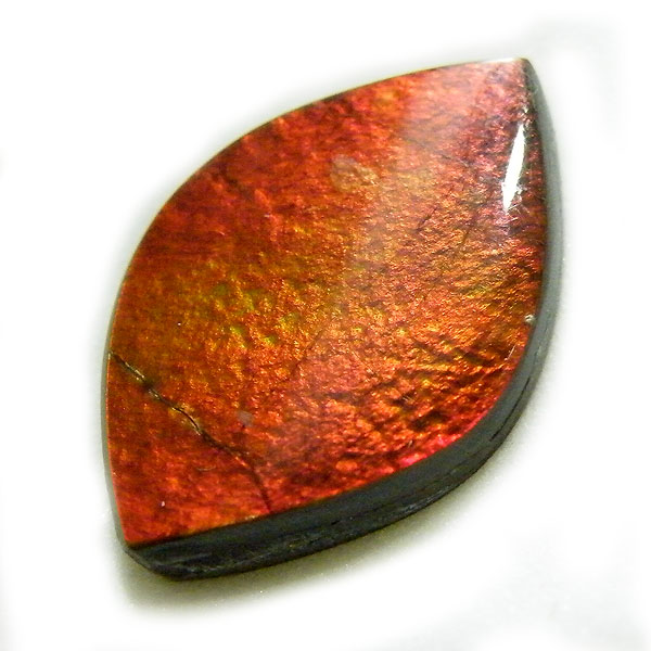 ACg(Ammolite) VR΃[Xi