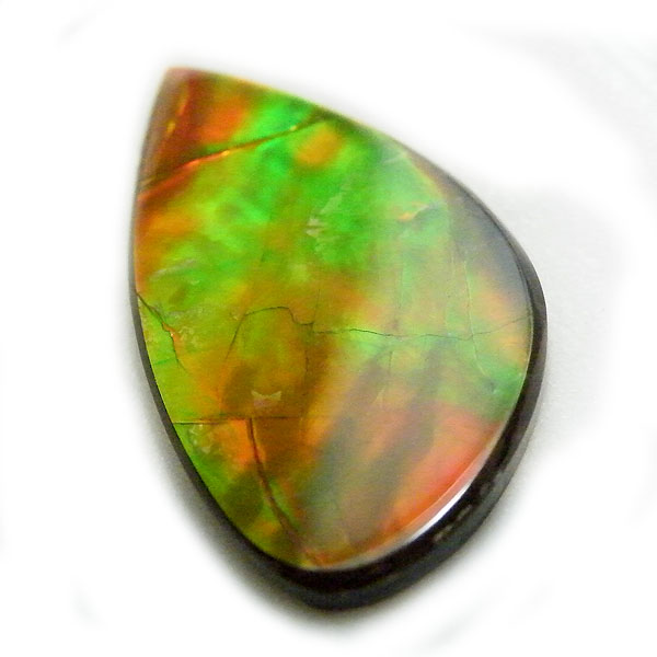 アンモライト(Ammolite) 天然石ルース限定品