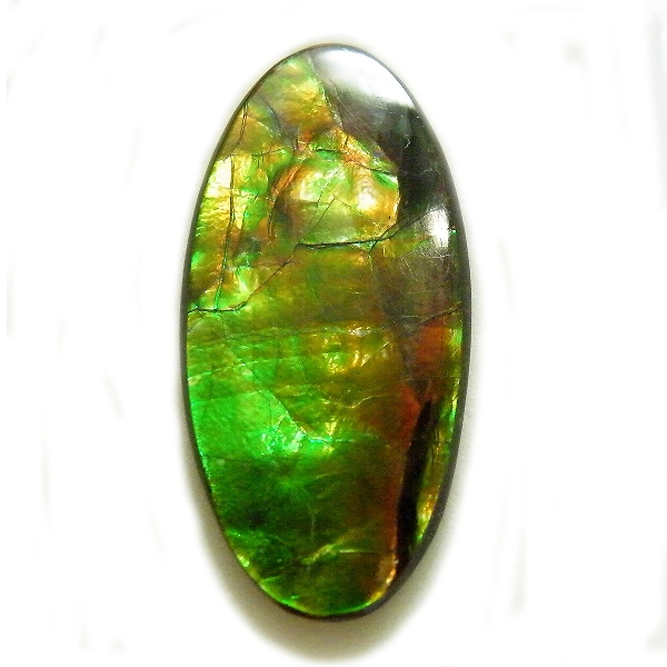 アンモライト(Ammolite) 天然石ルース限定品