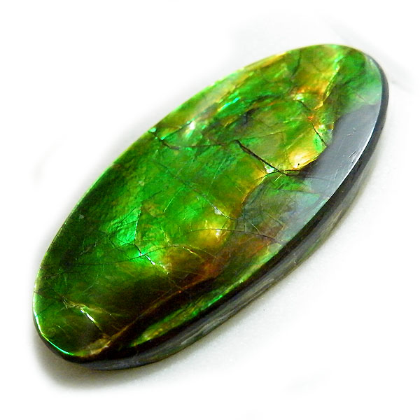 アンモライト(Ammolite) 天然石ルース限定品