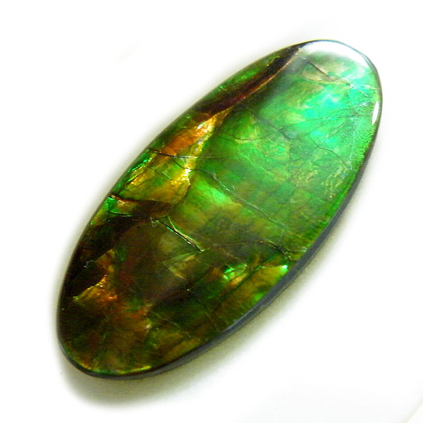アンモライト(Ammolite) 天然石ルース限定品