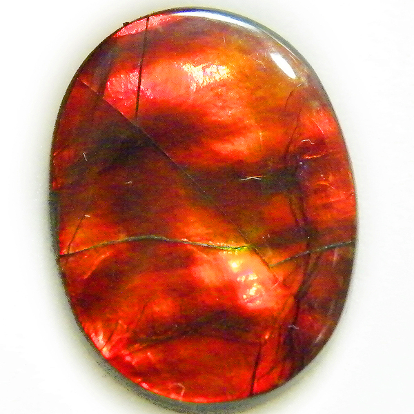アンモライト(Ammolite) 天然石ルース限定品