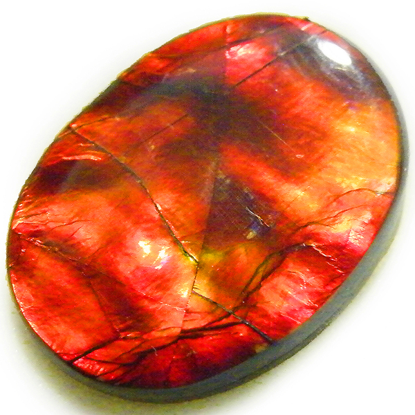 アンモライト(Ammolite) 天然石ルース限定品