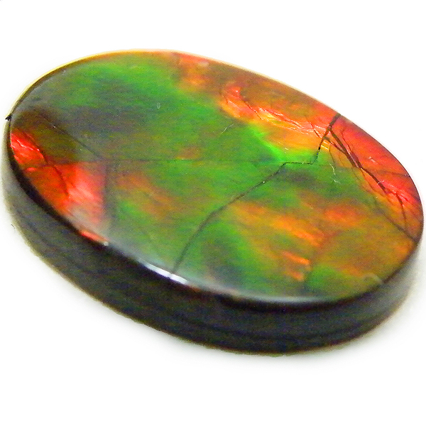 アンモライト(Ammolite) 天然石ルース限定品
