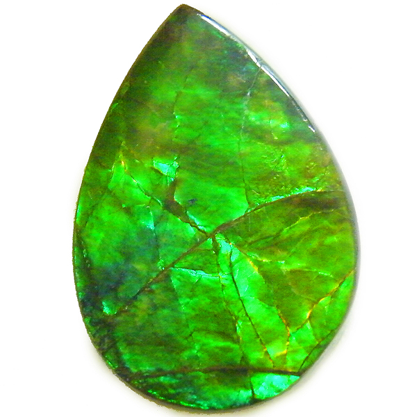 アンモライト(Ammolite) 天然石ルース限定品