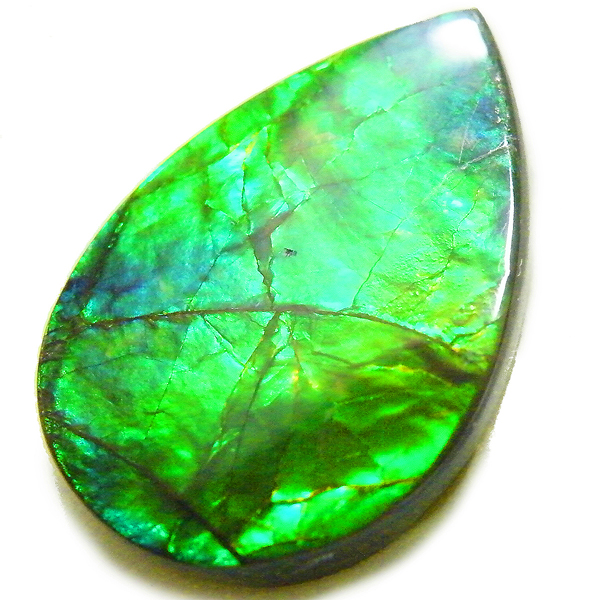 アンモライト(Ammolite) 天然石ルース限定品