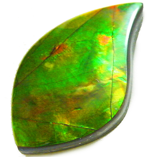 アンモライト(Ammolite) 天然石ルース限定品
