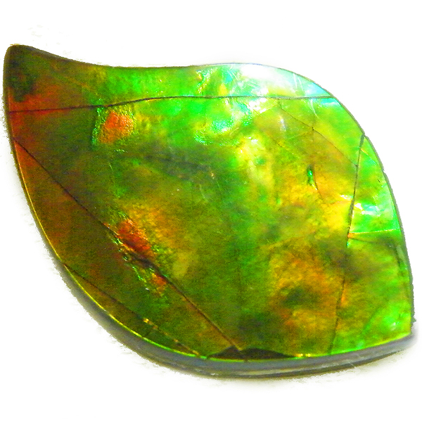 アンモライト(Ammolite) 天然石ルース限定品