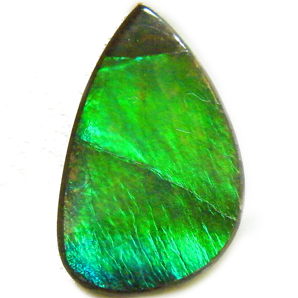 アンモライト(Ammolite) 天然石ルース限定品