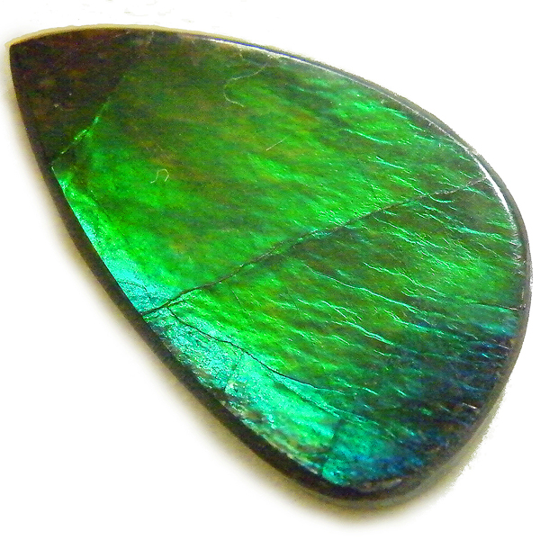 アンモライト(Ammolite) 天然石ルース限定品