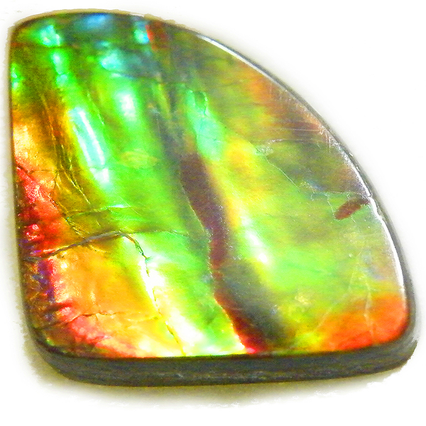 ACg(Ammolite) VR΃[Xi