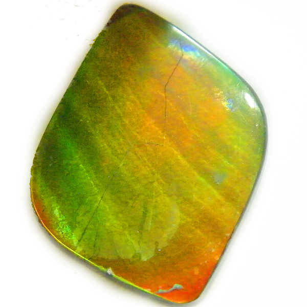 アンモライト(Ammolite) 天然石ルース限定品