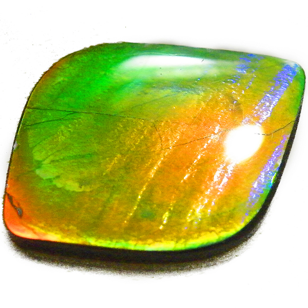 アンモライト(Ammolite) 天然石ルース限定品