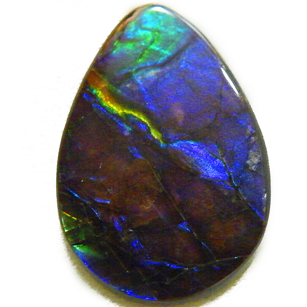 アンモライト(Ammolite) 天然石ルース限定品