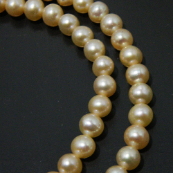 淡水パール(Fresh water pearl)
