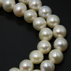 淡水パール(Fresh water pearl)