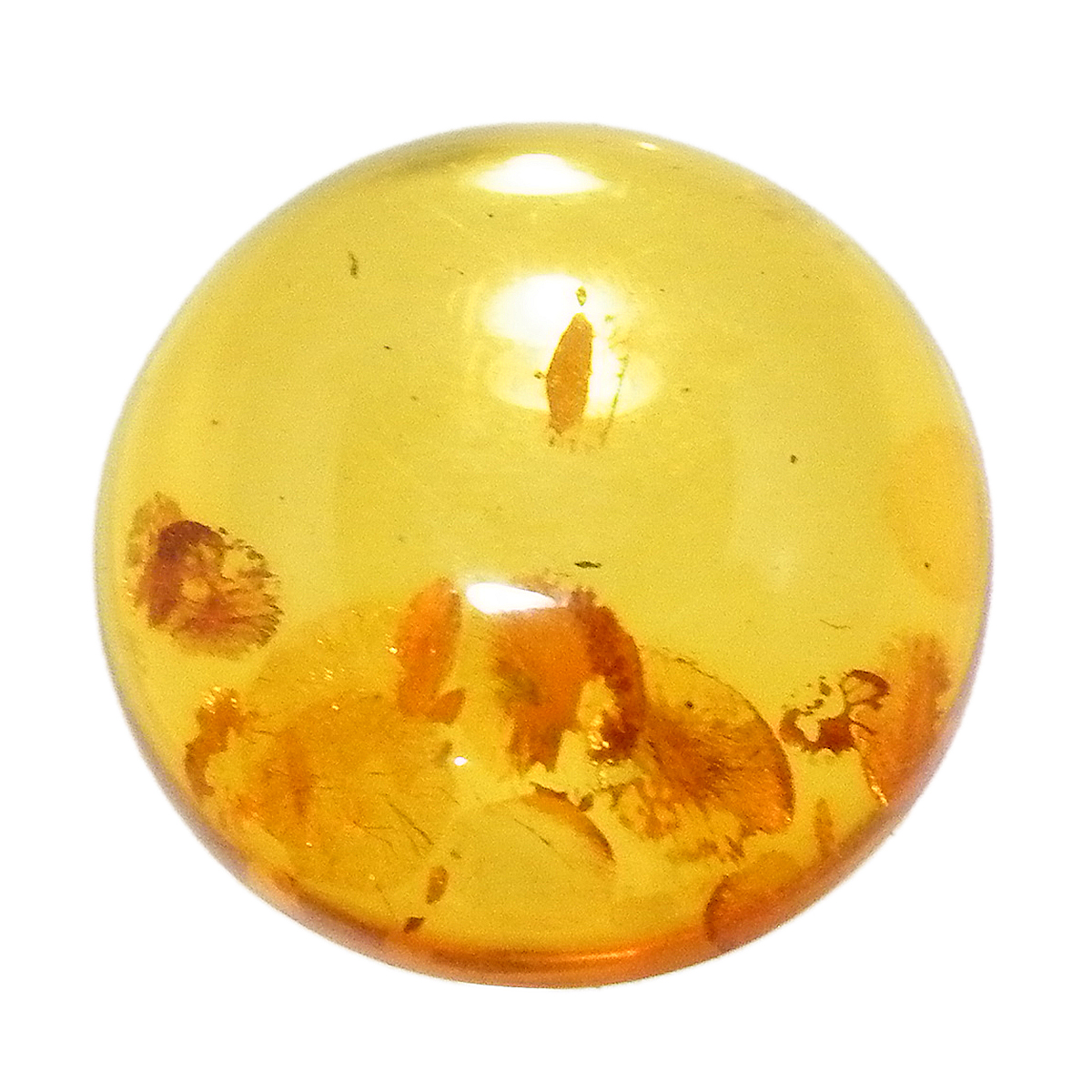 アンバー(Amber) 天然石ルース限定品