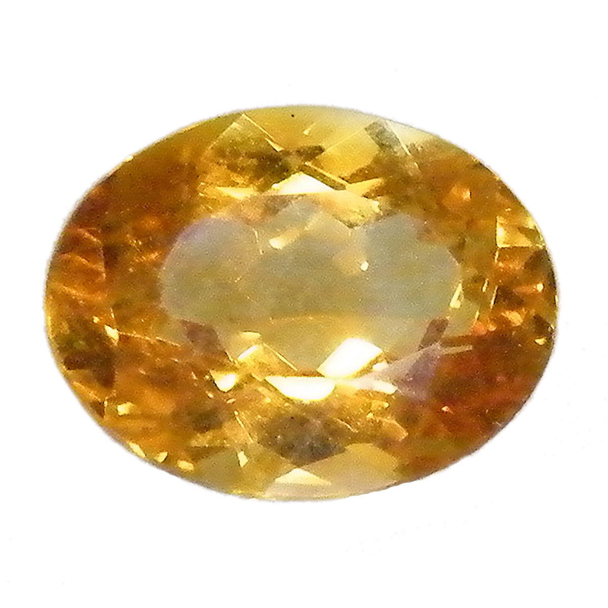 Vg(Citrine) VR΃[Xi