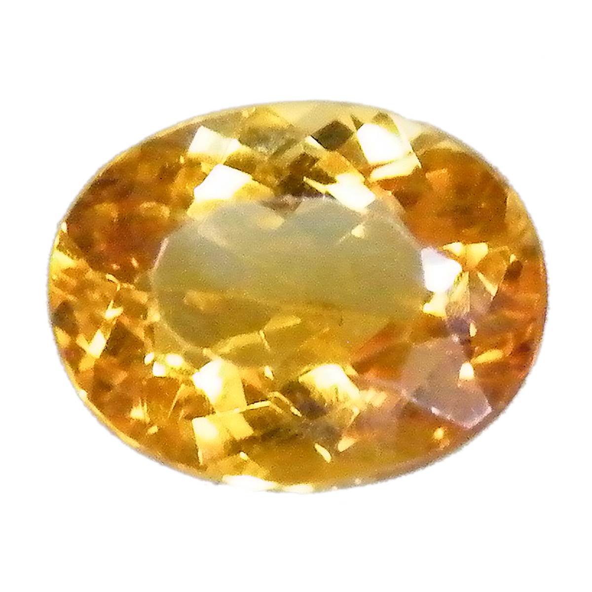 Vg(Citrine) VR΃[Xi