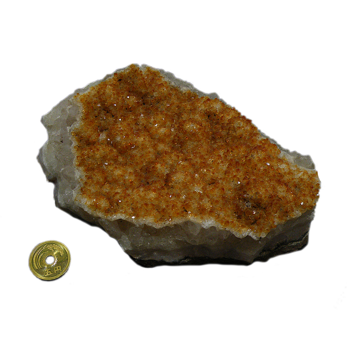  Vg(Citrine)