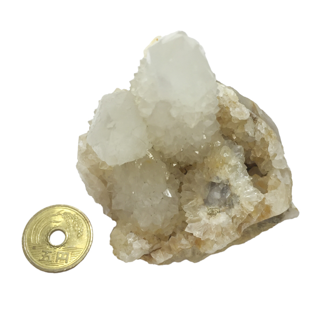 JN^XNH[c(Cactus quartz)