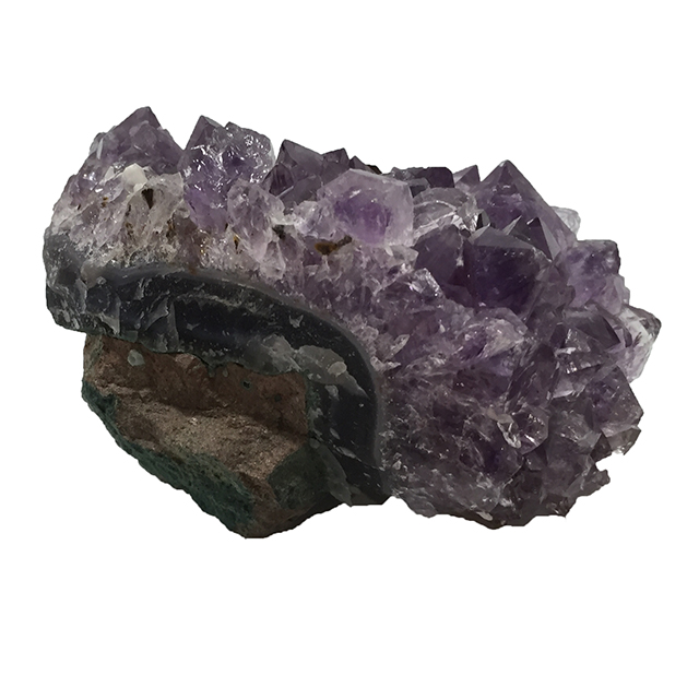 AVXg(Amethyst)/NX^[