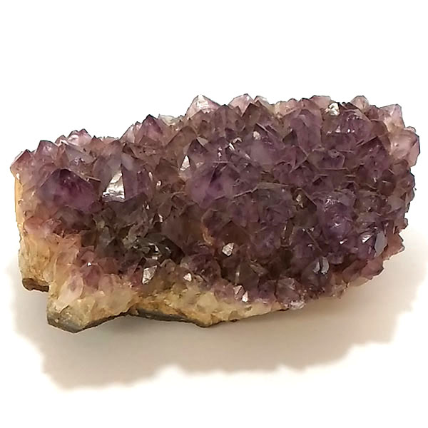 AWXg(Amethyst)/NX^[