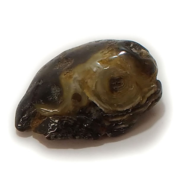 水入り瑪瑙(Agate)原石