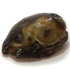 水入り瑪瑙(Agate)原石