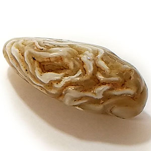 水入り瑪瑙(Agate)原石