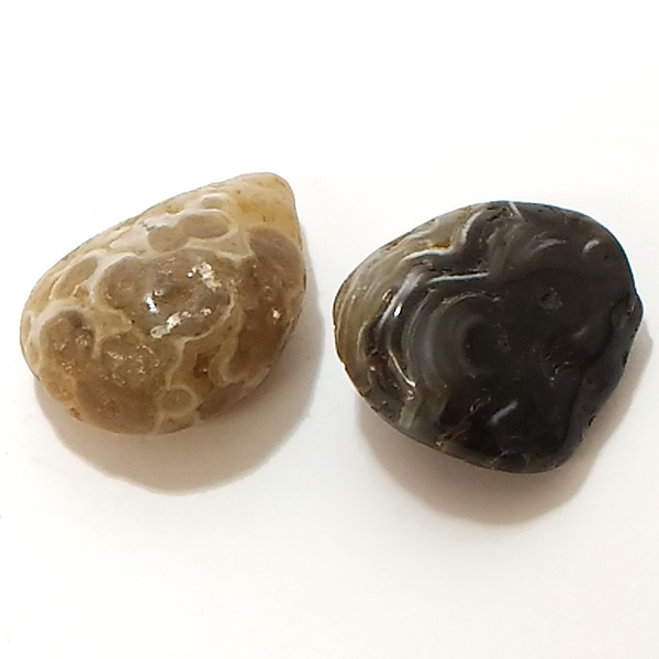 AQ[g(Agate)