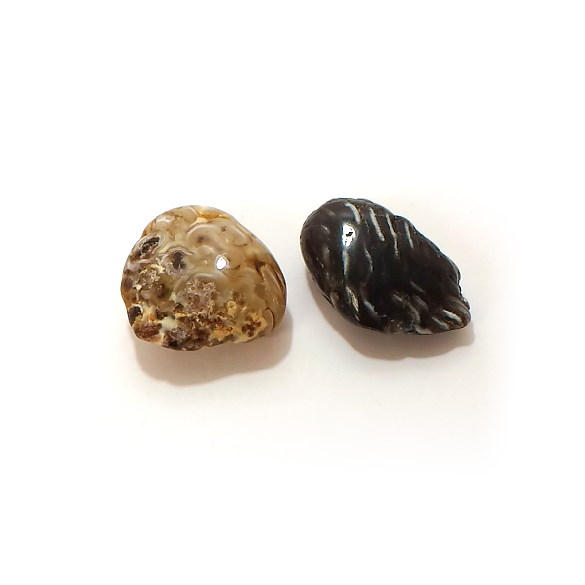 アゲート(Agate)原石