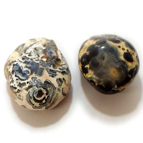 アゲート(Agate)原石