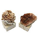 天然石鉱物標本販売