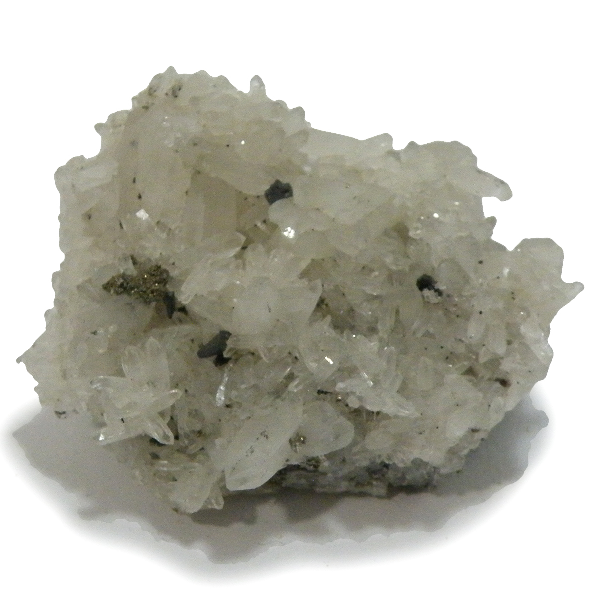 NH[c(Quartz)EpCCg(Pyrite)NX^[