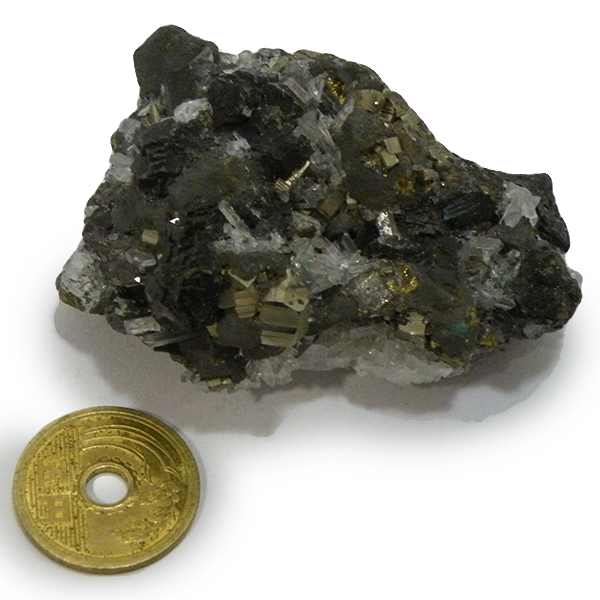 クォーツ水晶(Quartz)・パイライト(Pyrite)原石/クラスター