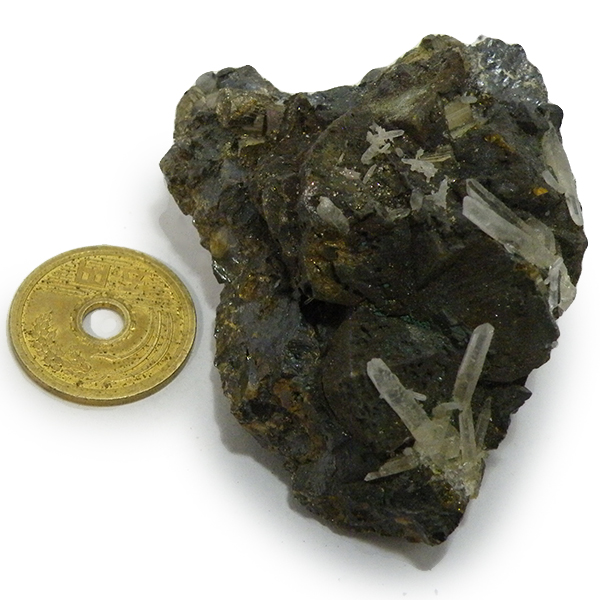 クォーツ水晶(Quartz)・パイライト(Pyrite)原石/クラスター
