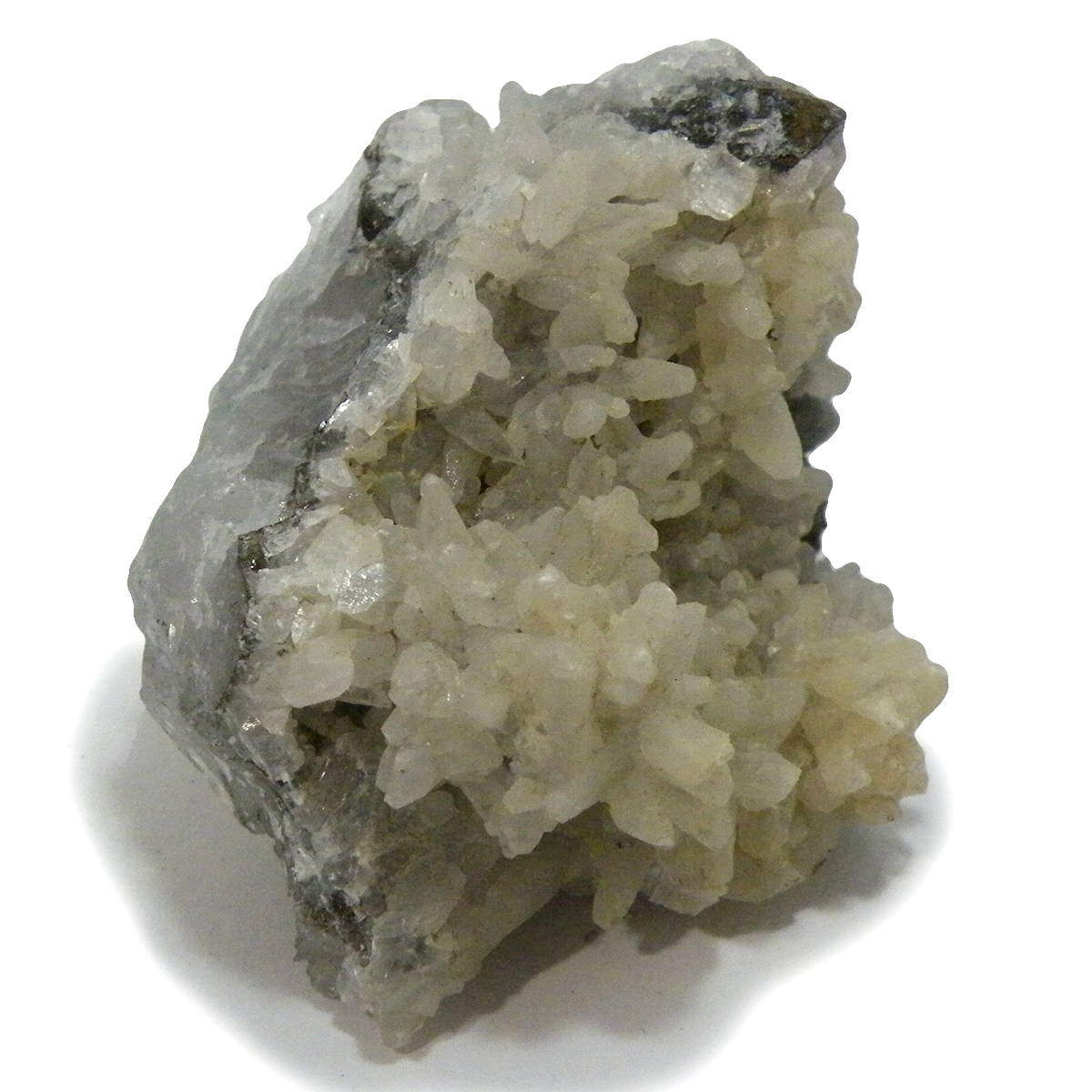 クォーツ水晶(Quartz)・パイライト(Pyrite)クラスター
