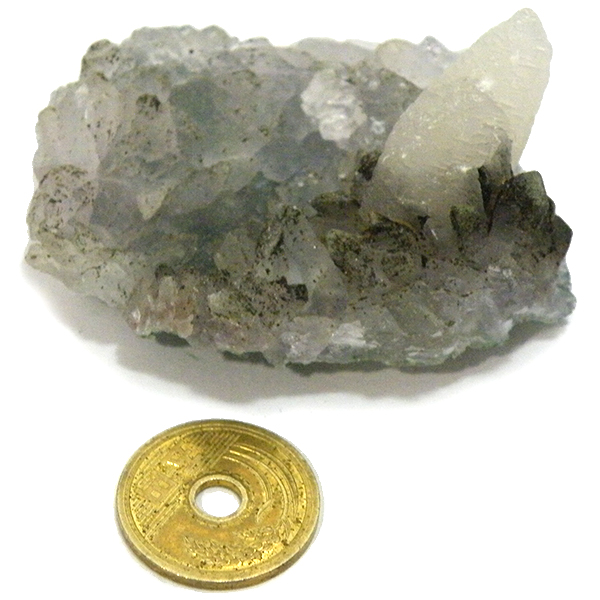 JTCg(Calcite)/NX^[