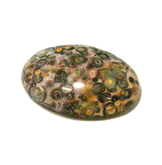 Ip[hWXp[(Leopard skin jasper)@1_[X