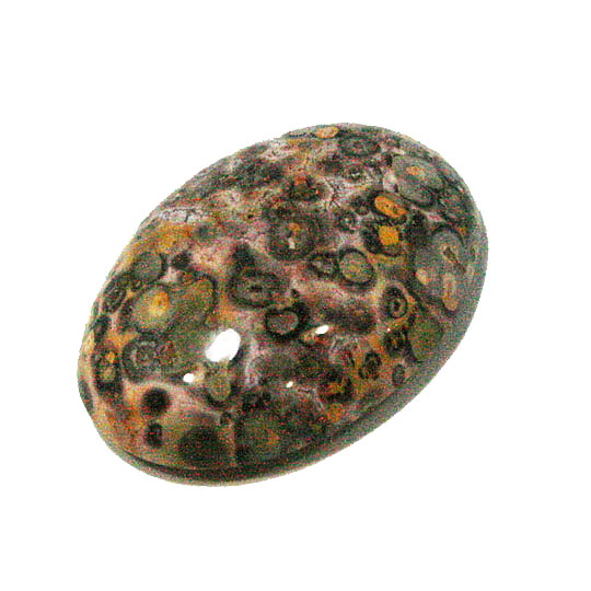 Ip[hWXp[(Leopard skin jasper)@1_[X