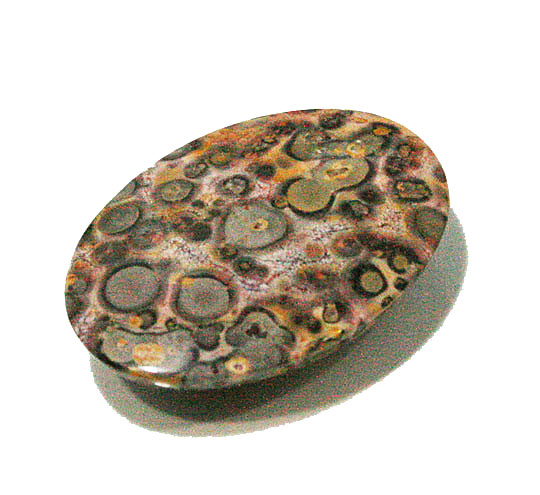 Ip[hWXp[(Leopard skin jasper)@1_[X