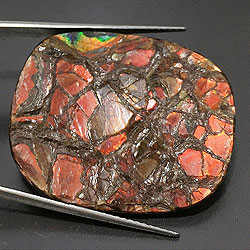 アンモライト(ammolite)