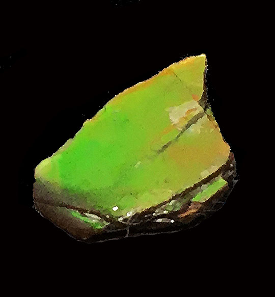   ACgiammolitej