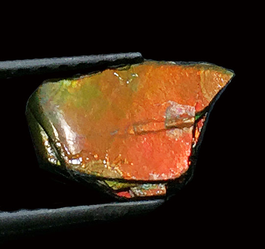   ACgiammolitej